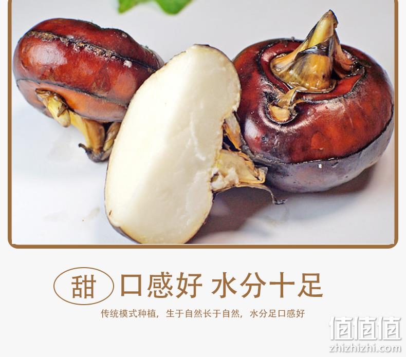 应季水果：绿绽 新鲜现挖马蹄荸荠 6斤 16.4元包邮 值值值-买手聚集的地方