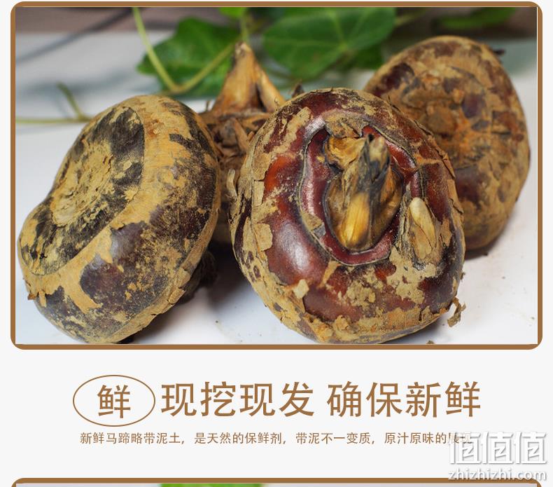 应季水果：绿绽 新鲜现挖马蹄荸荠 6斤 16.4元包邮 值值值-买手聚集的地方