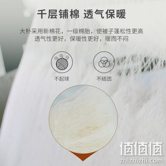 A类品，120根精梳加密，Plus会员：7斤x2件 大朴 纯新疆棉花被子被芯200x230cm 拍2件288元包邮，折合144元/床 值值值-买手聚集的地方
