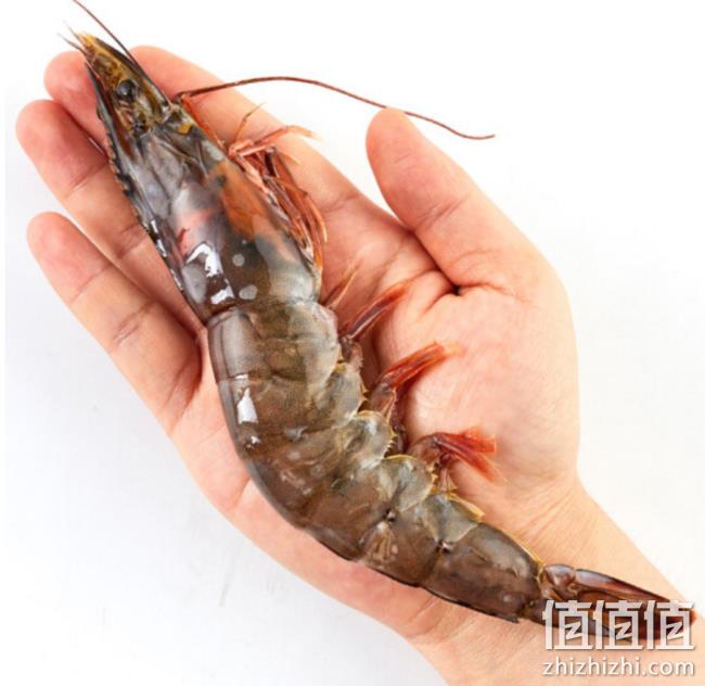 10-13只/盒，正大 泰国王虾 巨大号 500gx4件 176元包邮 值值值-买手聚集的地方