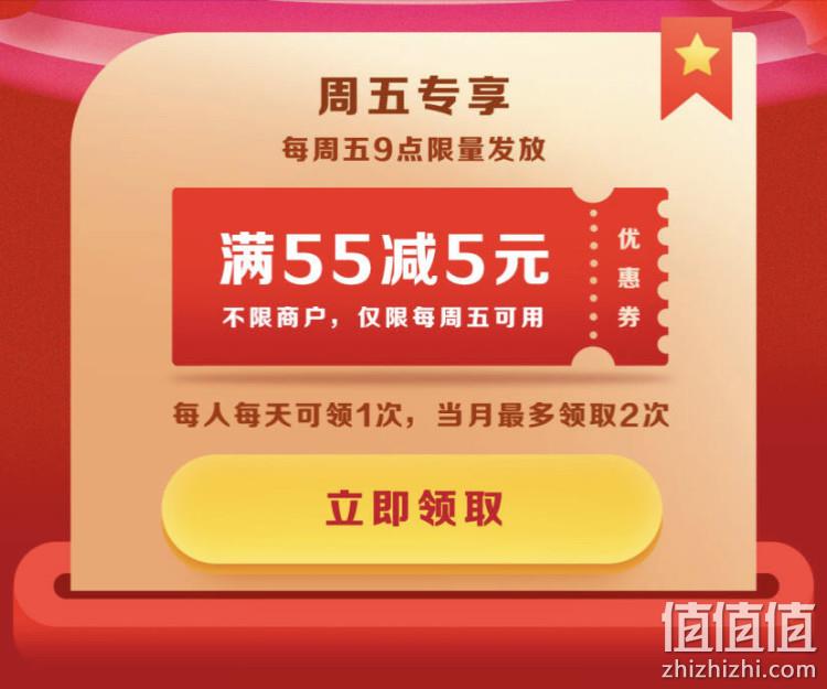 每日9点开始，31日截止：领取京东白条闪付优惠券 55-5元 值值值-买手聚集的地方