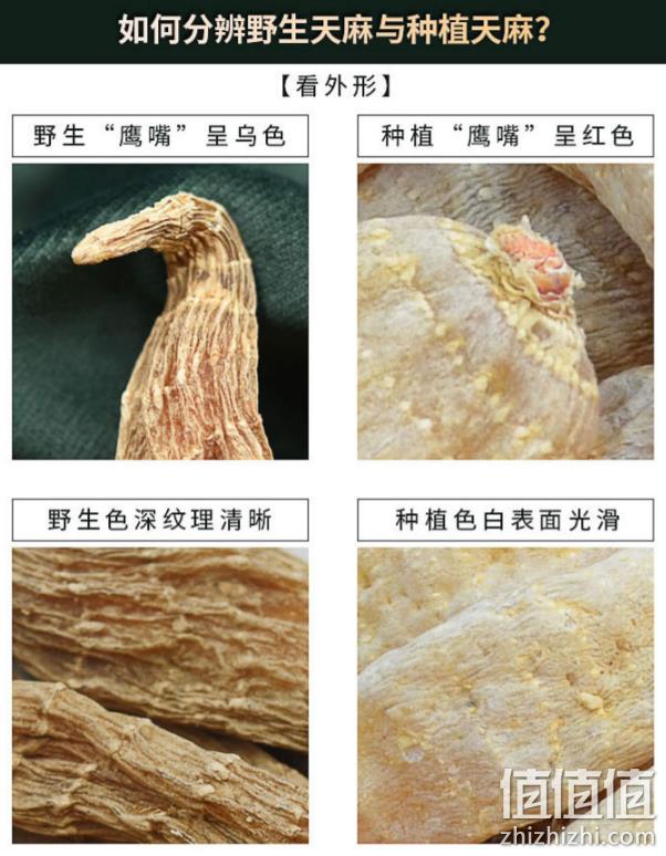 降10元 改善头晕头疼:一品森 长白山野生天麻 250g 券后58元包邮(长期198元) 值值值-买手聚集的地方