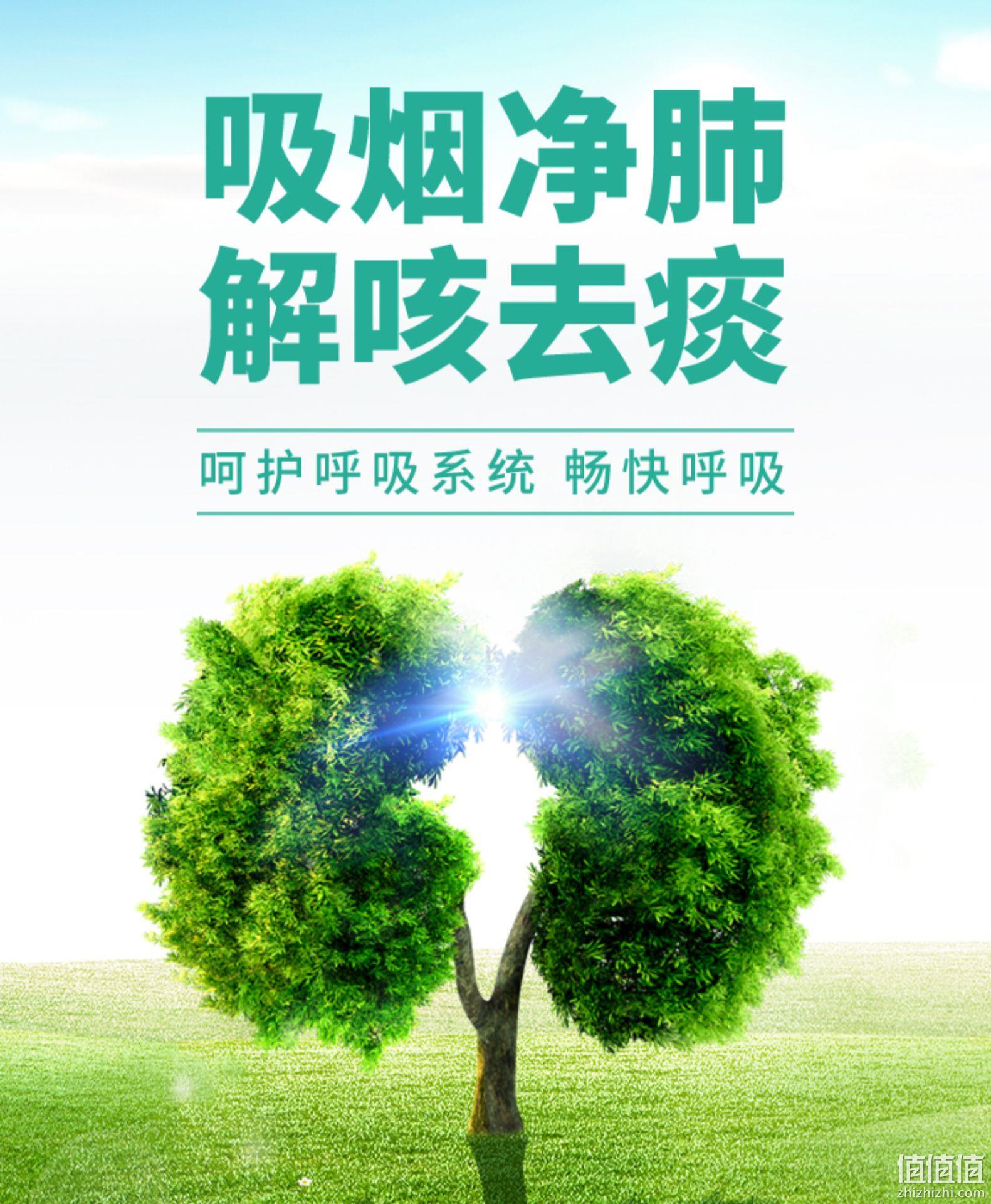 加拿大进口、清肺/呵护呼吸道：45粒/瓶 PN 净肺片 胶囊 券后88元包邮 值值值-买手聚集的地方