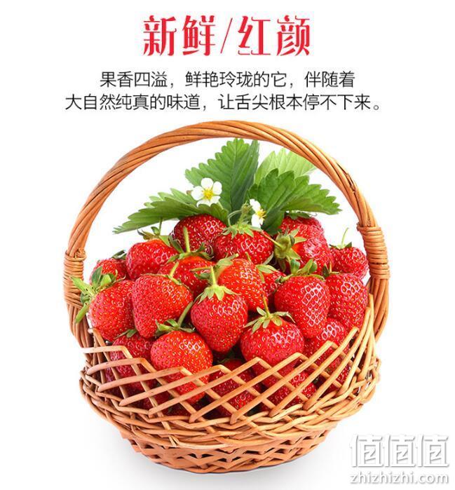 PLUS会员，静益乐源 红颜草莓 5斤 多重优惠后69.9元包邮 值值值-买手聚集的地方