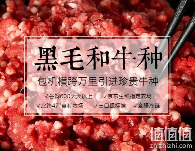 元盛 龙江和牛 原切谷饲牛肉馅 500g 凑单+券后折合22元到手 值值值-买手聚集的地方