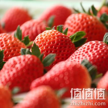 史低！俏味郎 俏味郎 九九奶油草莓 3斤盒装 68元顺丰包邮 值值值-买手聚集的地方