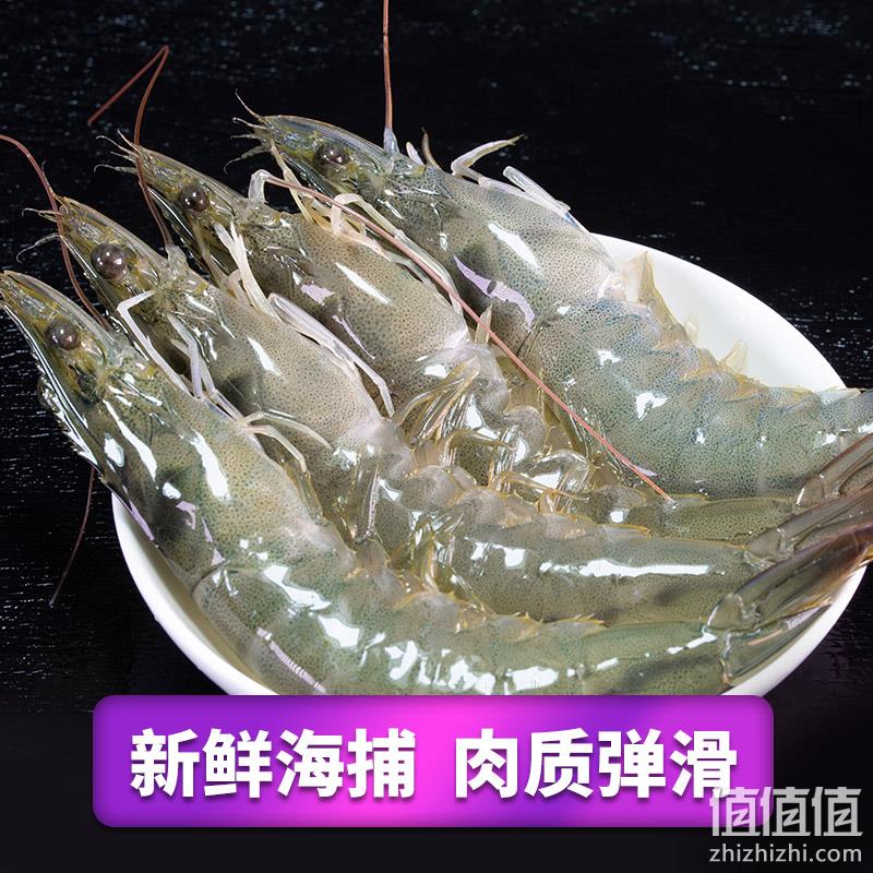 净重3斤，顺丰冷链直达：渔公码头 特大厄瓜多尔白虾 79元起包邮顺丰冷链 值值值-买手聚集的地方
