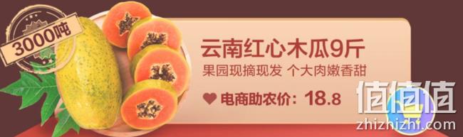京东生鲜绿色通道：京东生鲜 京心助农活动 5斤猕猴桃22元 5斤蜜瓜30元 3斤奶油草莓49元 值值值-买手聚集的地方