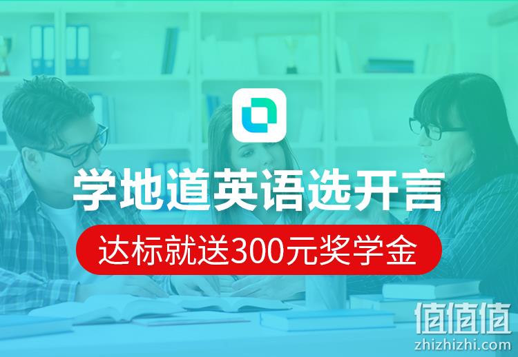 新低、2000+节外教课、返奖学金：开言英语 356天年度会员 券后548元，达标返300元奖学金（上次558元） 值值值-买手聚集的地方