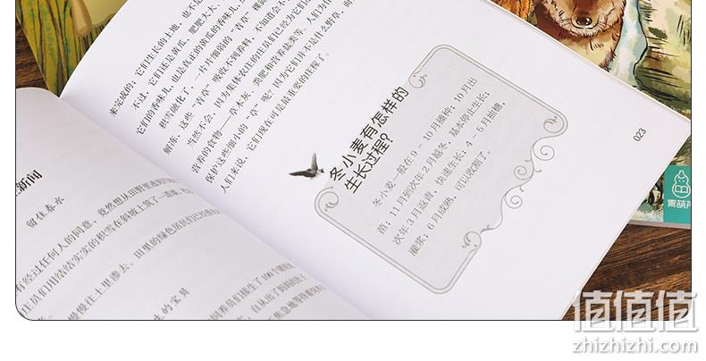 《森林报：春夏秋冬》全4册 券后9.9元包邮 值值值-买手聚集的地方
