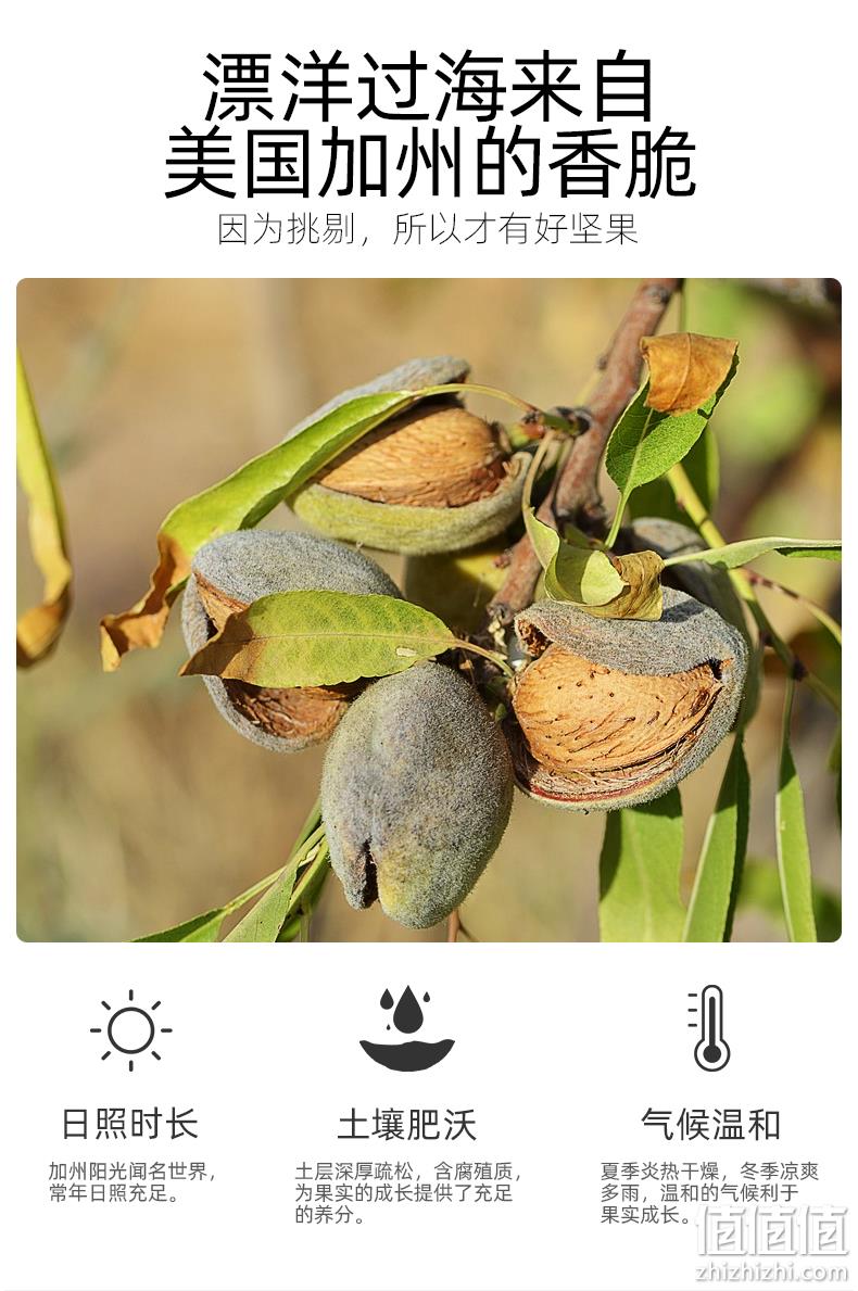 美国MP22/25高等级原果：160gx2袋 天虹牌 盐焗巴旦木仁 扁桃仁 券后36.8元包邮 值值值-买手聚集的地方