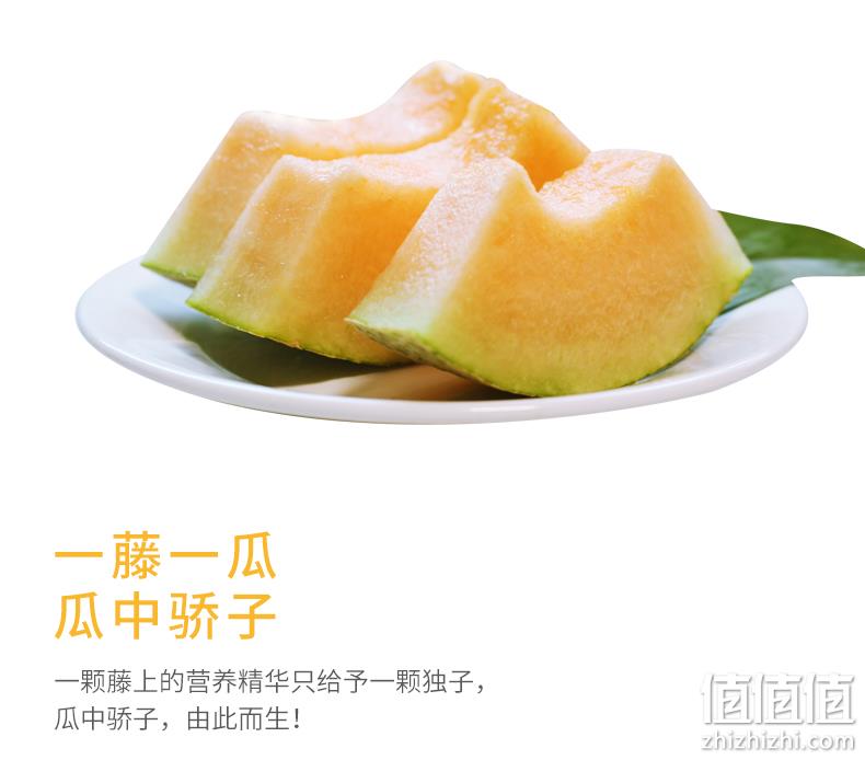 带箱10斤，净重＞8.5斤！都知果 海南西州蜜25号哈密瓜 券后49.8元包邮 值值值-买手聚集的地方