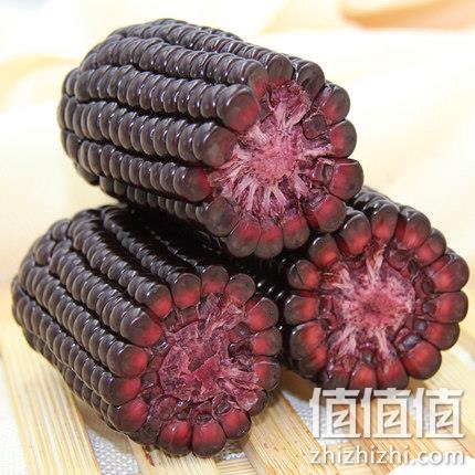 优质粗粮质之选：220gx8根 东方天谷 山西甜糯黑玉米棒 29.9元包邮 值值值-买手聚集的地方