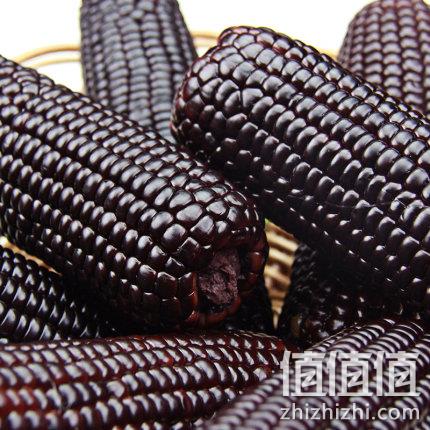 优质粗粮质之选：220gx8根 东方天谷 山西甜糯黑玉米棒 29.9元包邮 值值值-买手聚集的地方