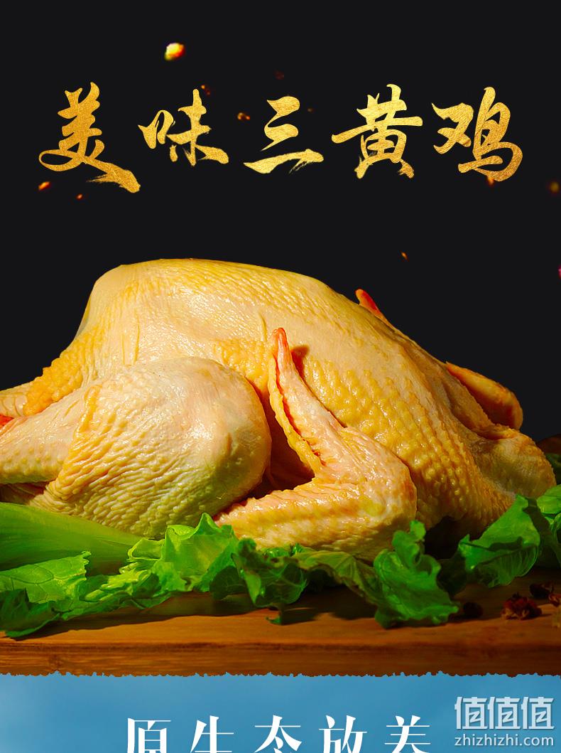 现宰速冻、肉质紧实脂肪少：950gx2只 正宗农家散养三黄鸡 券后54元包顺丰 值值值-买手聚集的地方