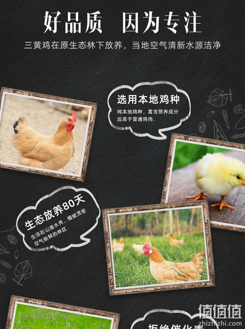 现宰速冻、肉质紧实脂肪少：950gx2只 正宗农家散养三黄鸡 券后54元包顺丰 值值值-买手聚集的地方