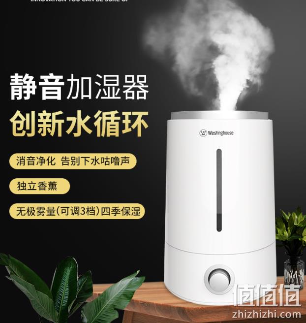 无极调雾 防尘过滤 净化水质：美国西屋 加湿器 4L 双重优惠后139元包邮（京东199元） 值值值-买手聚集的地方
