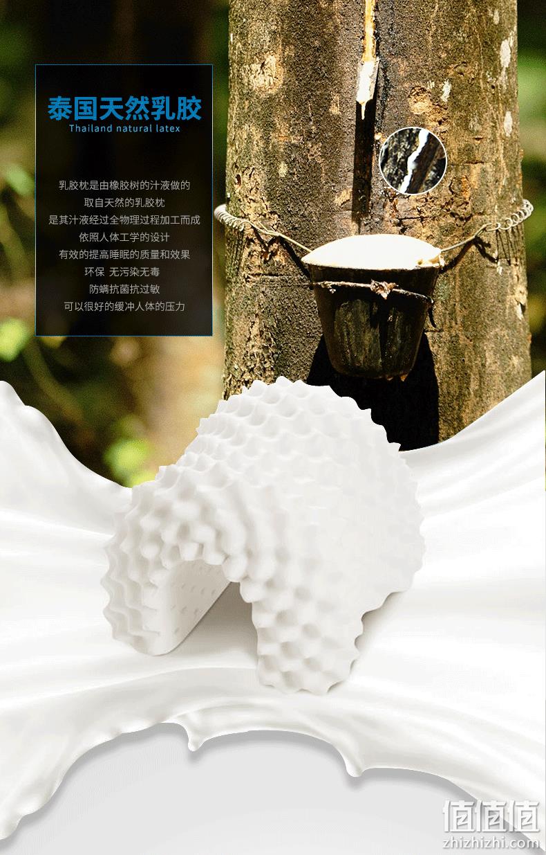 降10元 史低白菜价:泰国进口 Power Of Nature 天然乳胶枕 券后39.9元包邮(上次49.9元) 值值值-买手聚集的地方