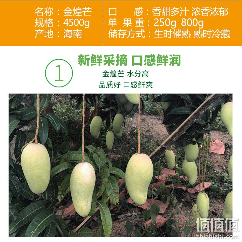 单果250-800g，古江  海南三亚金煌芒果 9斤 47.9元包邮 值值值-买手聚集的地方