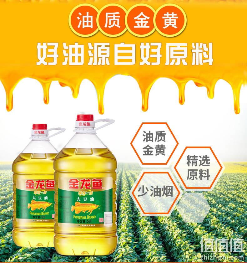 国产老品牌、精炼一级:5L 金龙鱼 大豆油 42.5元包邮 值值值-买手聚集的地方