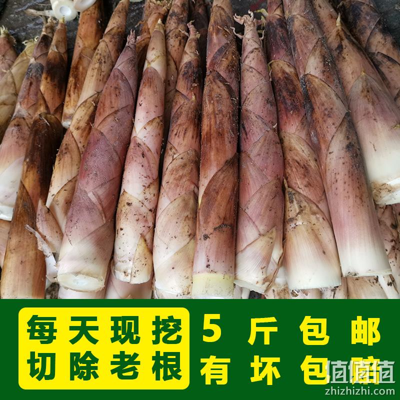 应季菜、新鲜现挖，觅农 现挖春笋竹笋 5斤 券后29.8元包邮 值值值-买手聚集的地方
