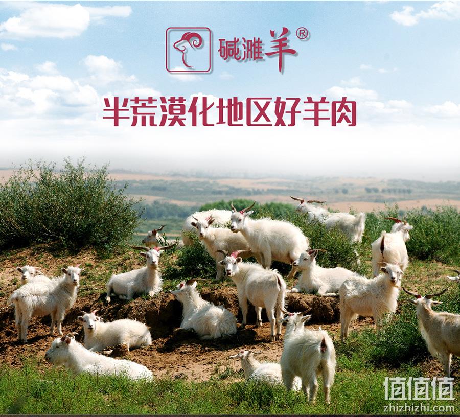 国家地标产品 无膻味：碱滩羊 山羊肉块 2斤 券后98元包邮 值值值-买手聚集的地方