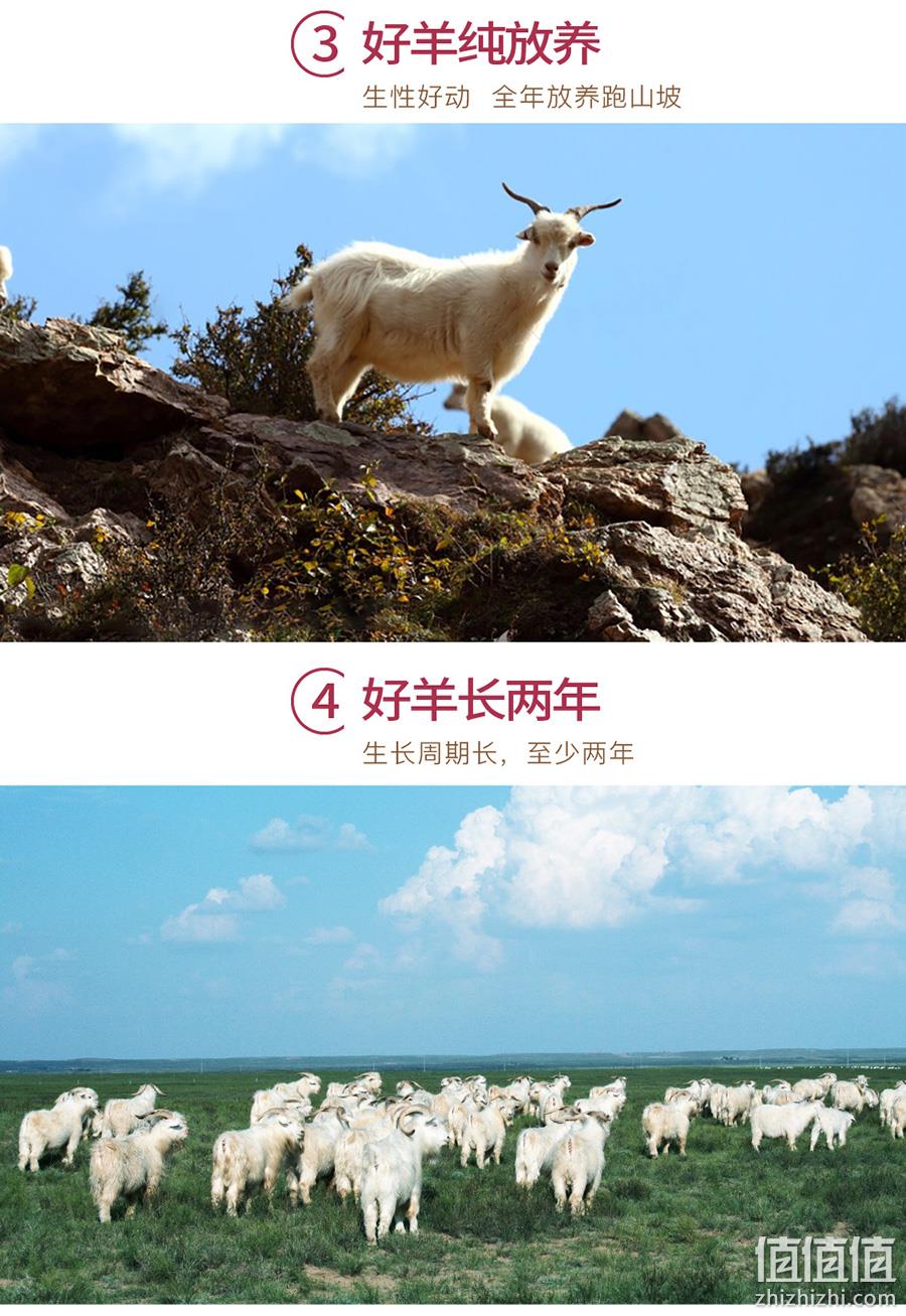 国家地标产品 无膻味：碱滩羊 山羊肉块 2斤 券后98元包邮 值值值-买手聚集的地方