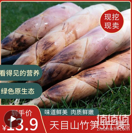 线下不够买1斤、新鲜现挖：临安天目山 竹笋 3斤 券后7.8元包邮（线下约10元/斤） 值值值-买手聚集的地方