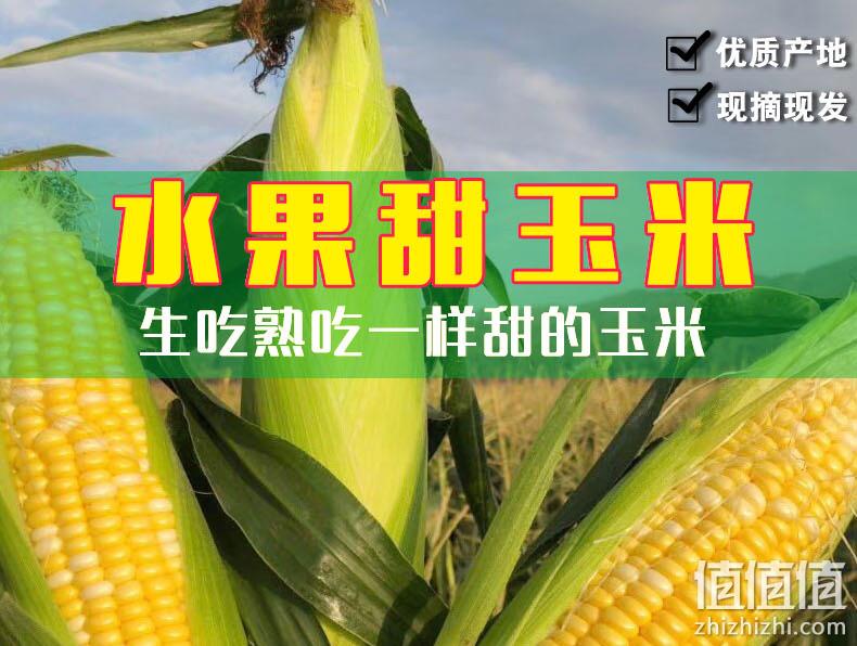 可生吃、爆浆汁甜：如花似月 云南新鲜水果玉米 10斤 26.9元包邮 值值值-买手聚集的地方