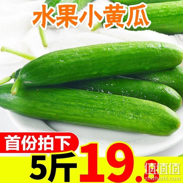 福瑞达 新鲜水果小黄瓜 5斤整箱 16.9元包邮 值值值-买手聚集的地方