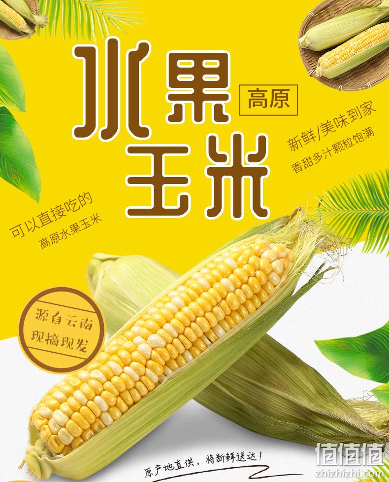 可生吃：果利多 云南新鲜水果玉米 10斤 29.8元包邮 值值值-买手聚集的地方