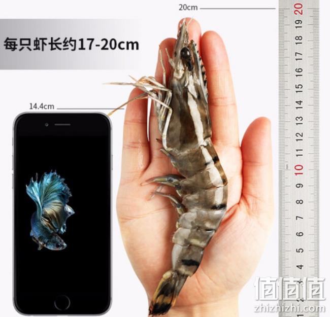 展开成人手掌长 净重400gx3件，越南进口 农小瑶 黑虎虾 双重优惠后89元包邮   值值值-买手聚集的地方