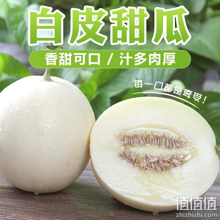 趣彩果 当季现摘 白皮甜瓜 2~3斤 券后13.9元起包邮 值值值-买手聚集的地方