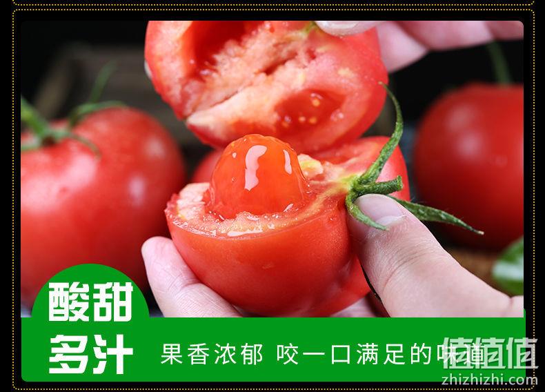 可以当水果吃，赞菓知 沙瓤普罗旺斯西红柿 3斤 15.1元起包邮 值值值-买手聚集的地方