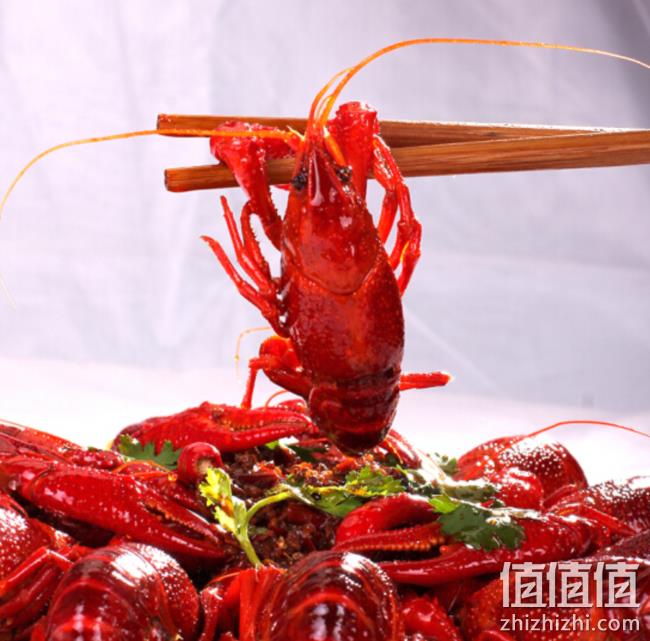 6-8钱，红功夫 麻辣小龙虾 1.5kg（17-22只）x3件 plus会员201.7元包邮（折合67元/件） 值值值-买手聚集的地方