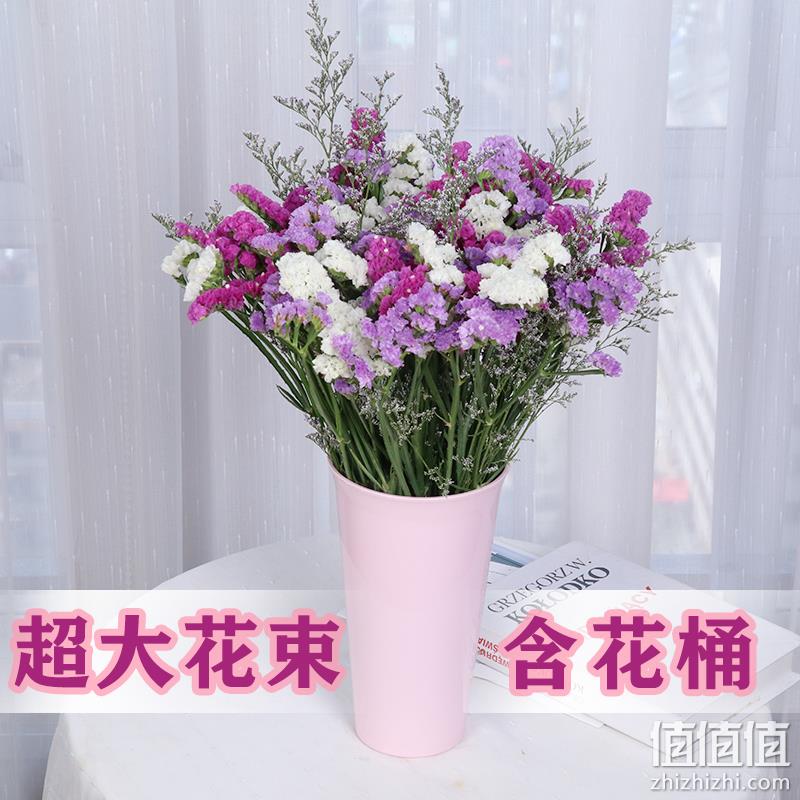 含花桶，线下买花都不够：勿忘我 干花 券后9.9元起包邮 值值值-买手聚集的地方