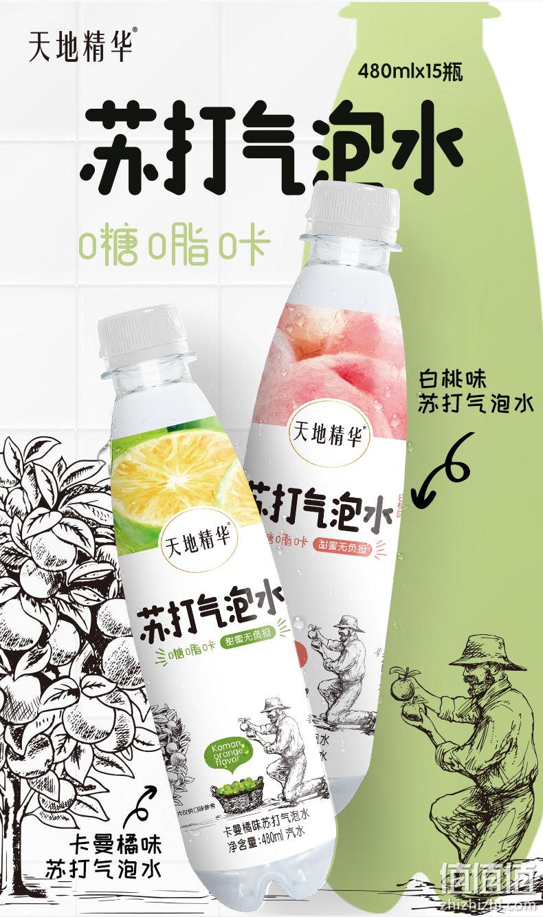0糖0脂0卡：480mlx15瓶 天地精华 元气小宝 白桃味/卡曼橘味 苏打气泡水 39.9元包邮 值值值-买手聚集的地方
