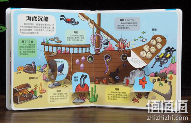 3D立体书 ：《乐乐趣小小探险家：生机盎然的海洋》 券后19.8元包邮 值值值-买手聚集的地方
