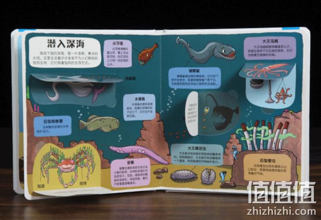 3D立体书 ：《乐乐趣小小探险家：生机盎然的海洋》 券后19.8元包邮 值值值-买手聚集的地方