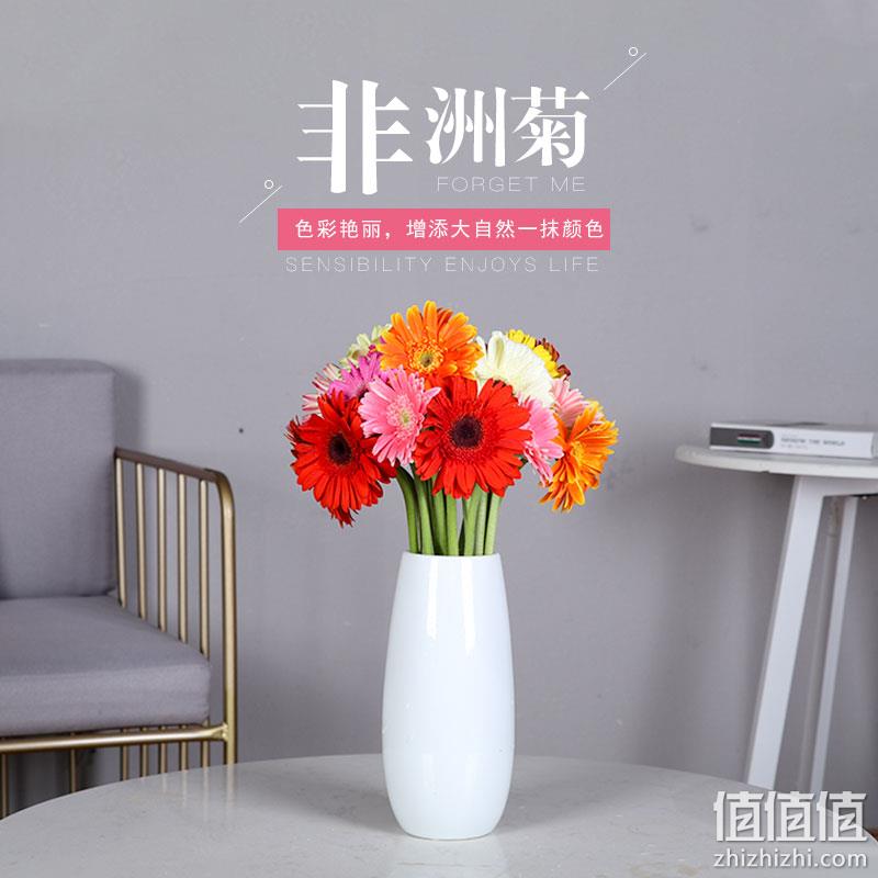 卉之依然 20枝 云南昆明非洲菊鲜花 券后9.9元包邮 值值值-买手聚集的地方