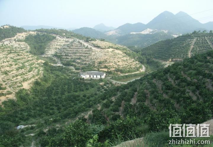 全国农产品地理标志 湖南崀山脐橙 5斤 21.04元包邮 值值值-买手聚集的地方