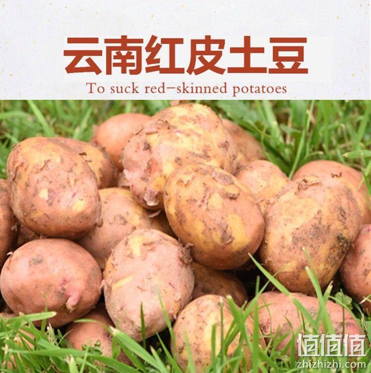 移动端，闵家山 云南新鲜红皮黄心小土豆 10斤 券后17.8元包邮 值值值-买手聚集的地方