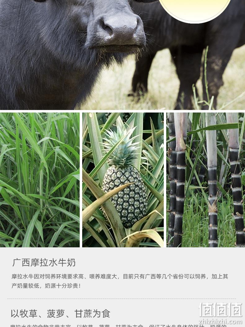 4.9分，奶中极品，1盒含钙240mg：200mlx10盒 南国乳业 水牛奶 券后29.9元包邮 值值值-买手聚集的地方