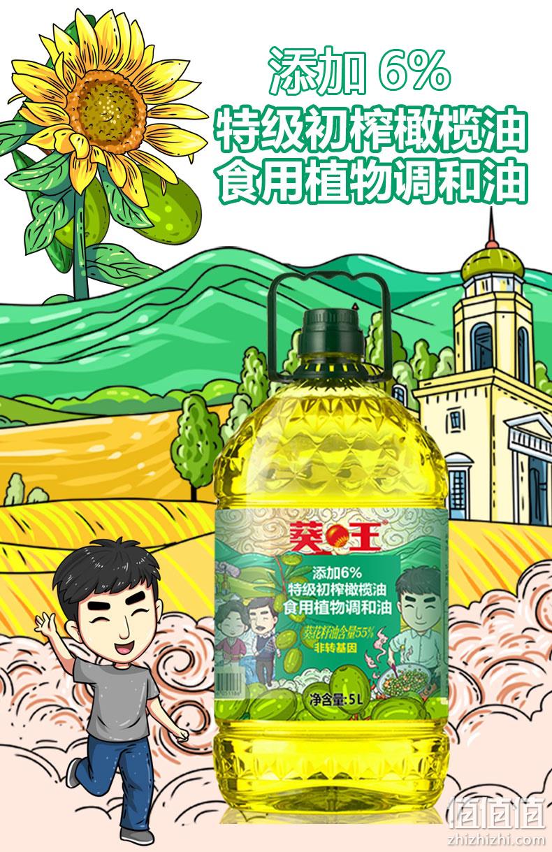 中国粮油学会监制 葵王 特级初榨橄榄油 5L 59.9元包邮 值值值-买手聚集的地方