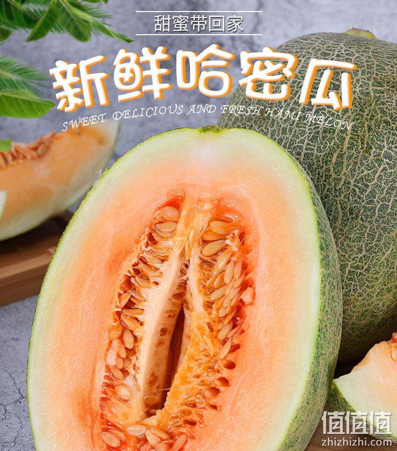 中国果业百强单位，久泰 海南哈密瓜 网纹黄金小蜜瓜 净重2~3斤 券后11.9元起包邮 值值值-买手聚集的地方