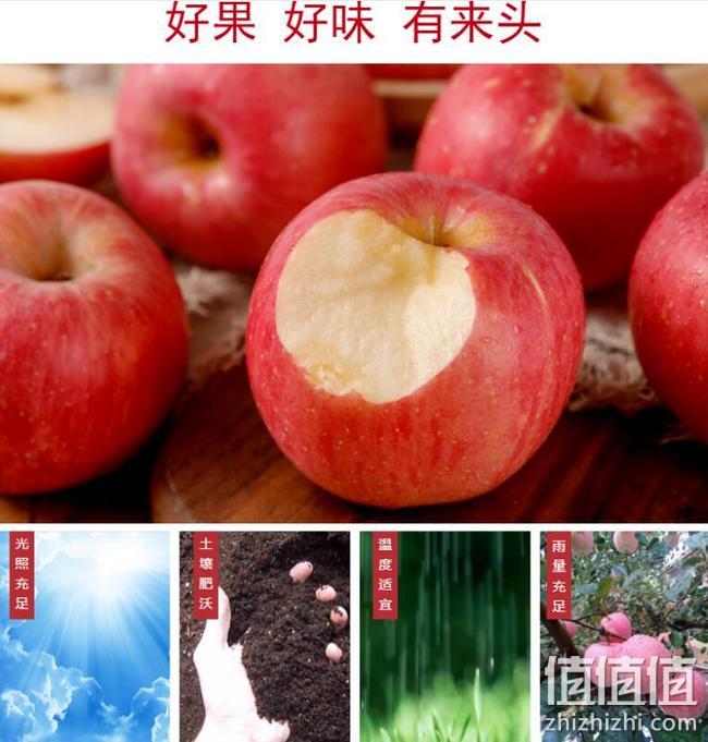 栖霞精品一级果，万润丰 山东烟台红富士苹果 3斤 券后8.8元包邮 值值值-买手聚集的地方