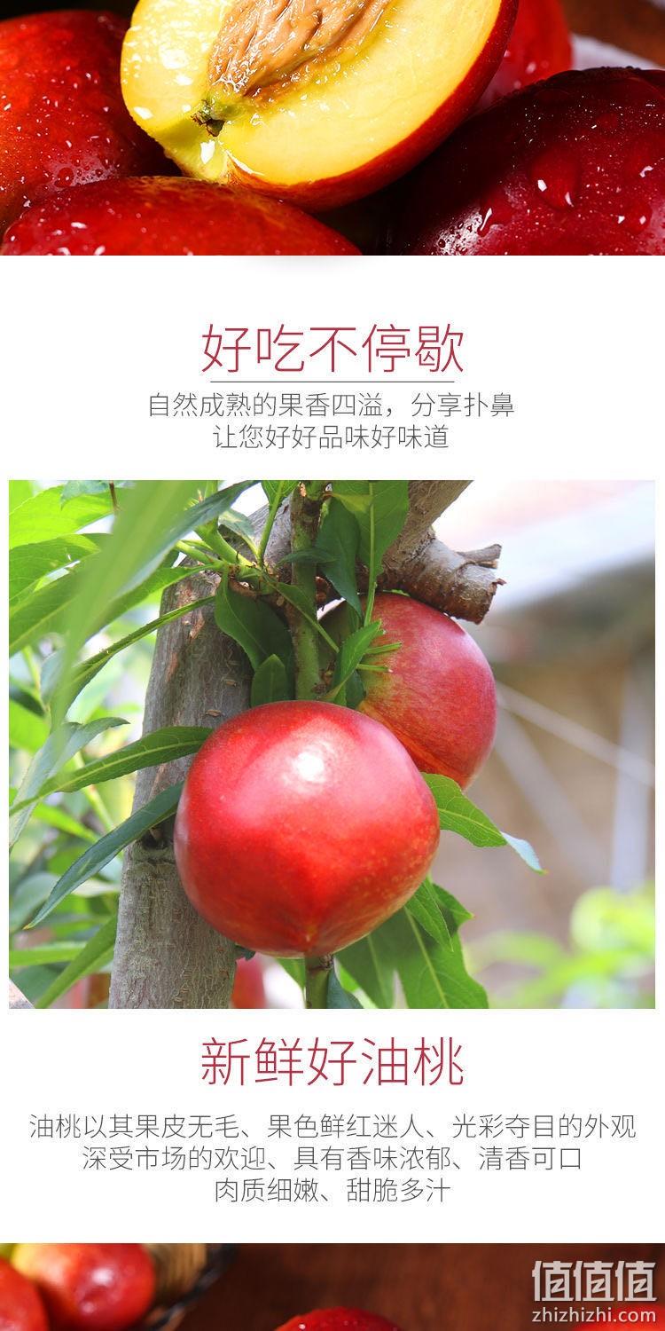 500gx5件 酥富源  精选新鲜黄心油桃 券后16.5元包邮折3.3元/斤 值值值-买手聚集的地方