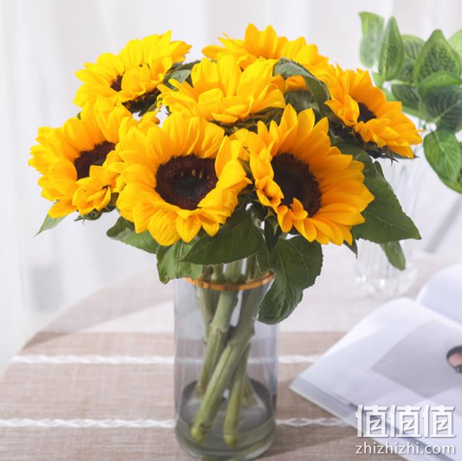 5只装：百永花坊 云南 向日葵鲜花 17.9元包邮 值值值-买手聚集的地方