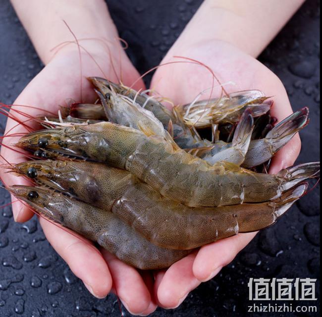 神价格、拼多多好评榜第3！ 4斤 厄瓜多尔白虾 63.8元顺丰冷链包邮 值值值-买手聚集的地方