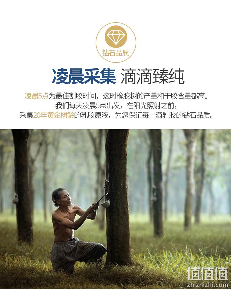 泰国进口原液、出口品牌：玺堡 波浪乳胶枕 券后49元包邮 值值值-买手聚集的地方